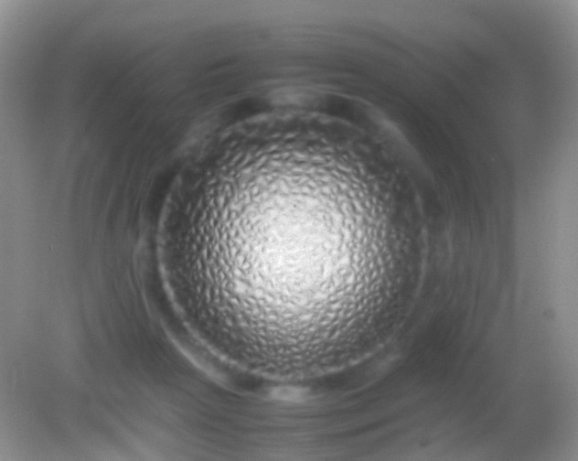 X0000082140265200701262250