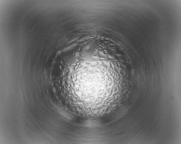 X0000082140270200701262250