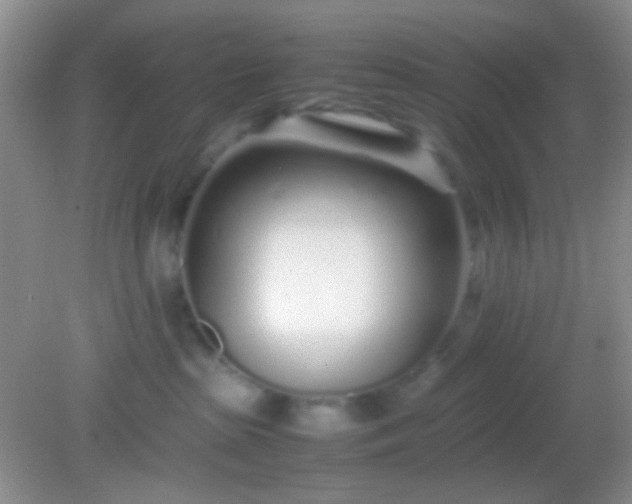 X0000082140285200701262250
