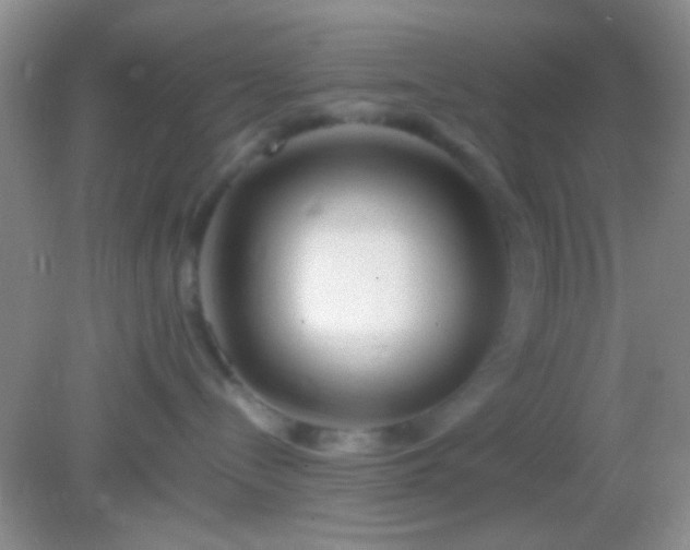 X0000082140288200701262250