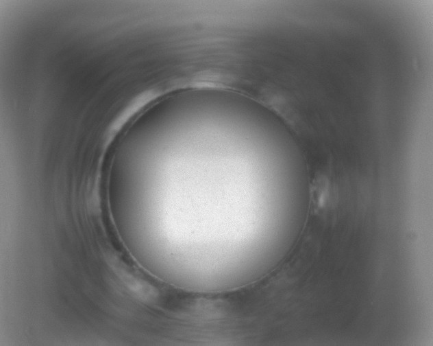 X0000082140292200701262250