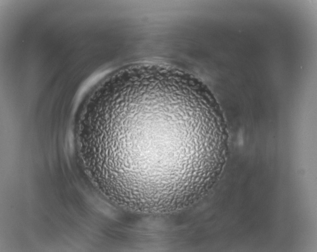 X0000082140294200701262250