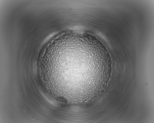 X0000082140298200701262249