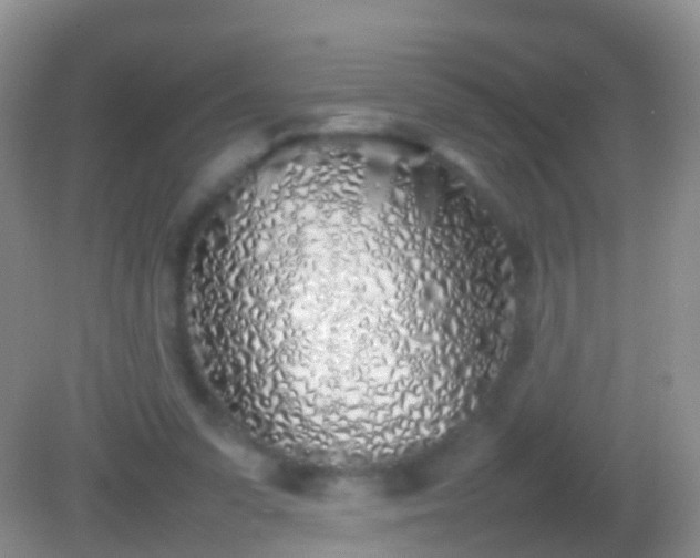 X0000082140303200701262249