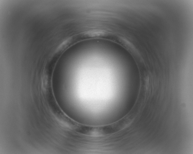X0000082140308200701262249