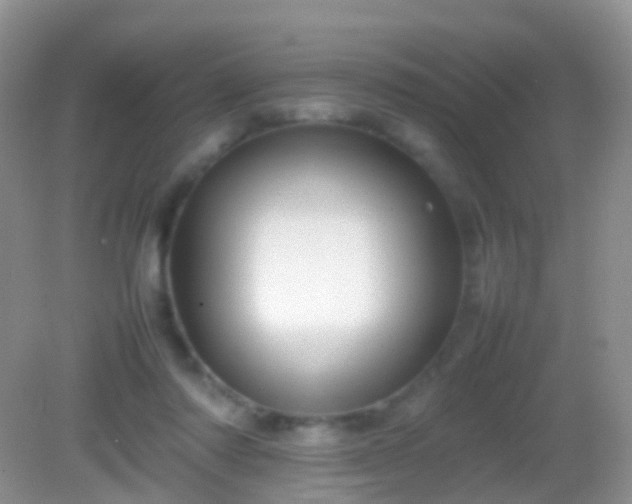 X0000082140310200701262249
