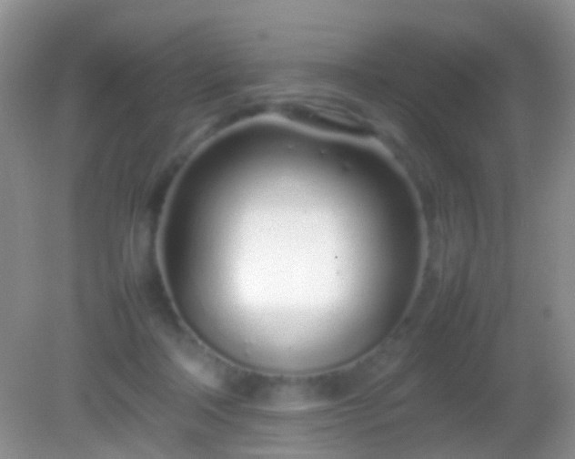 X0000082140314200701262249