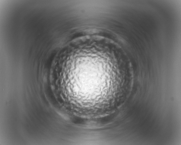 X0000082140315200701262249