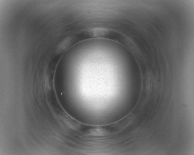 X0000082140316200701262249