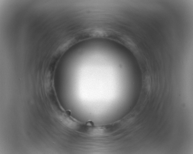 X0000082140318200701262249