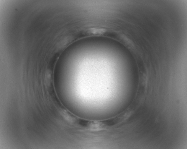 X0000082140321200701262249