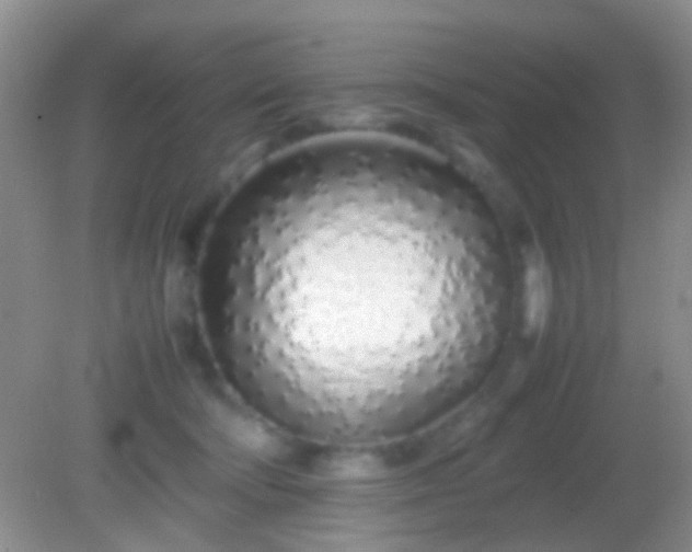X0000082140322200701262249