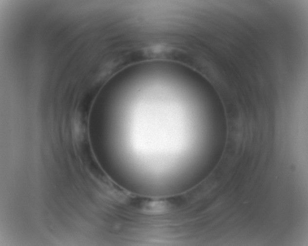 X0000082140324200701262249