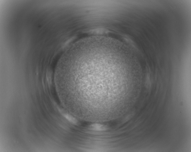 X0000082140326200701262249