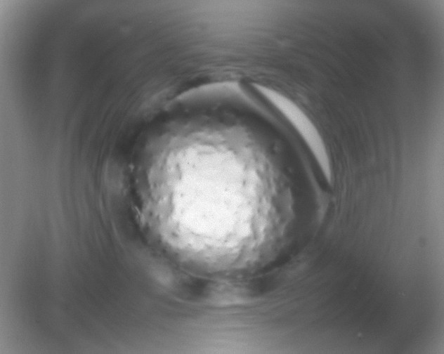 X0000082140331200701262249