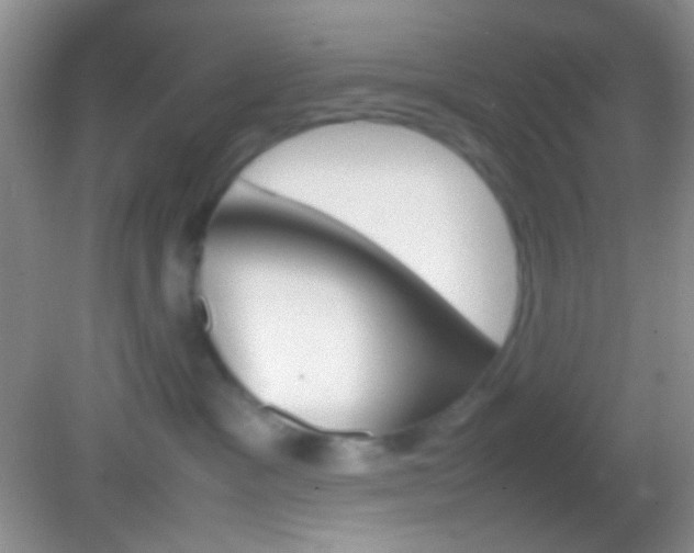 X0000082140333200701262249