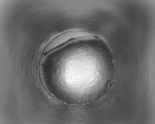 X0000082140337200701262248
