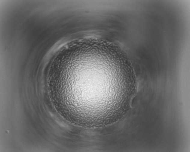 X0000082140339200701262248