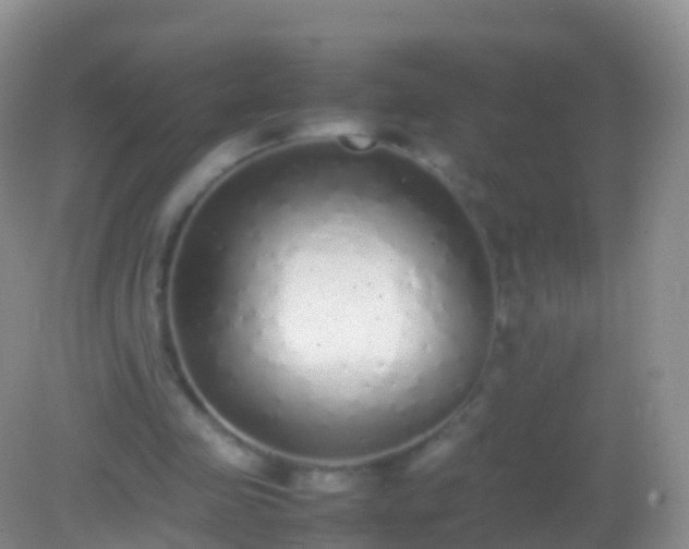 X0000082140341200701262248