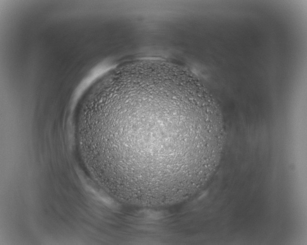 X0000082140343200701262248