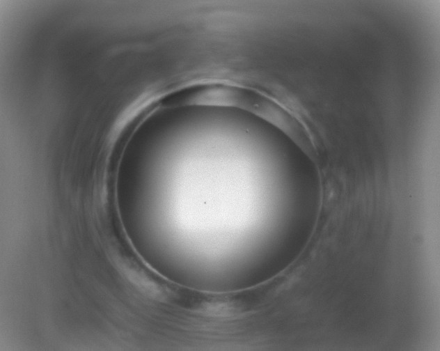 X0000082140344200701262248