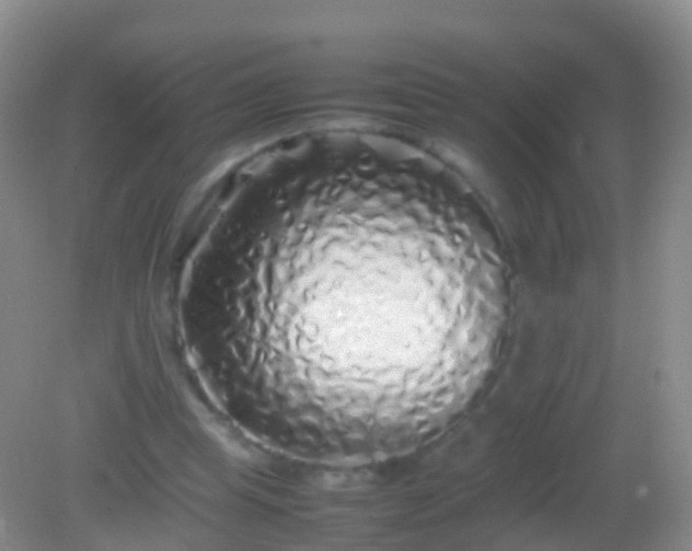 X0000082140345200701262248