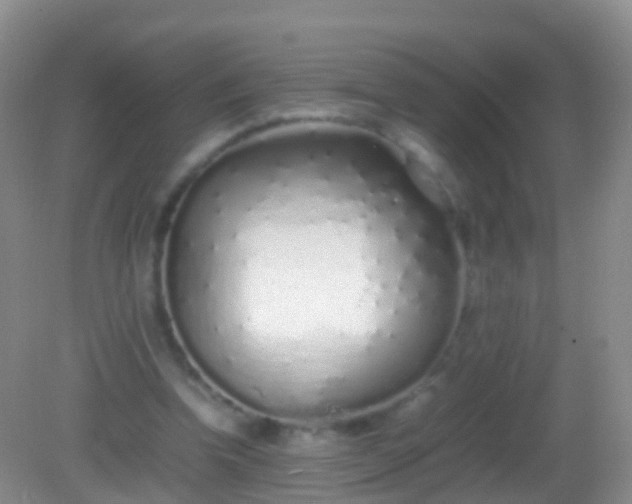 X0000082140346200701262248