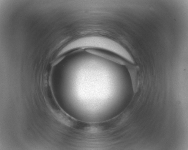 X0000082140356200701262248