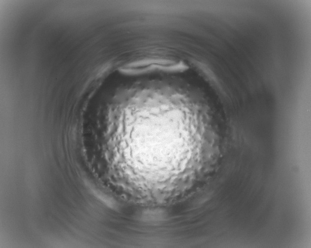 X0000082140357200701262248