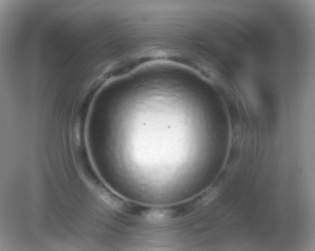 X0000082140358200701262248