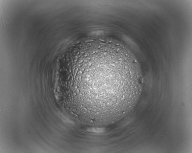 X0000082140361200701262248