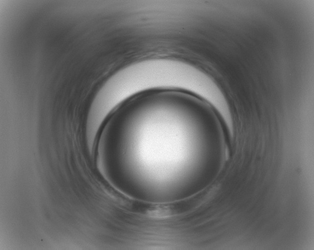 X0000082140362200701262248