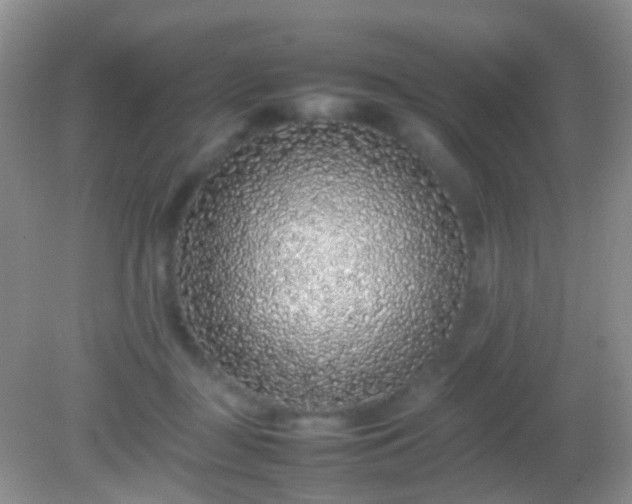 X0000082140363200701262248