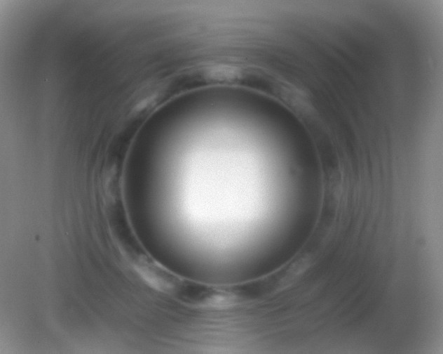 X0000082140364200701262248