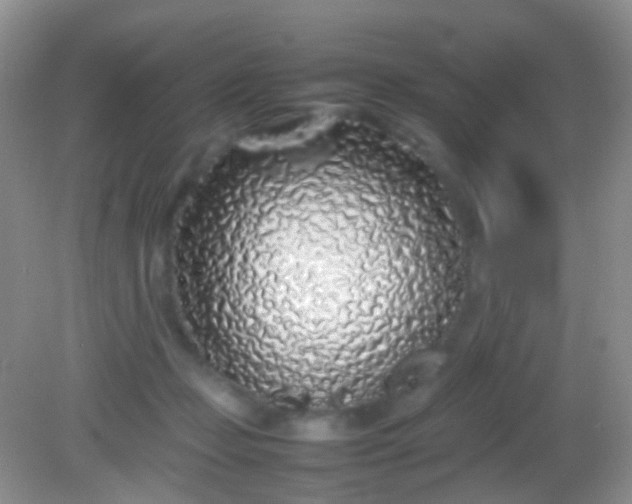 X0000082140365200701262248