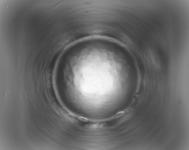 X0000082140366200701262248