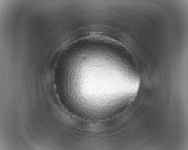 X0000082140367200701262248