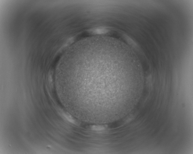 X0000082140373200701262249