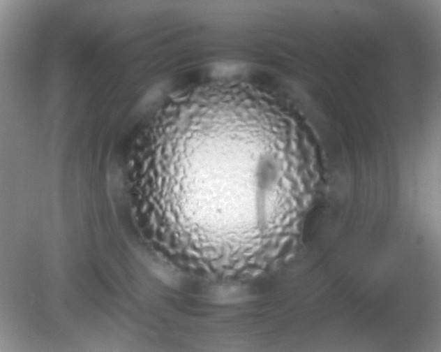 X0000082140375200701262249