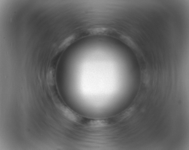 X0000082140378200701262249