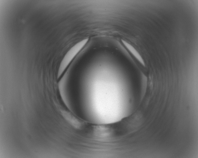 X0000082140380200701262249