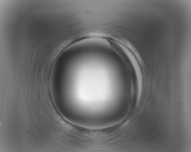 X0000082140385200701262248