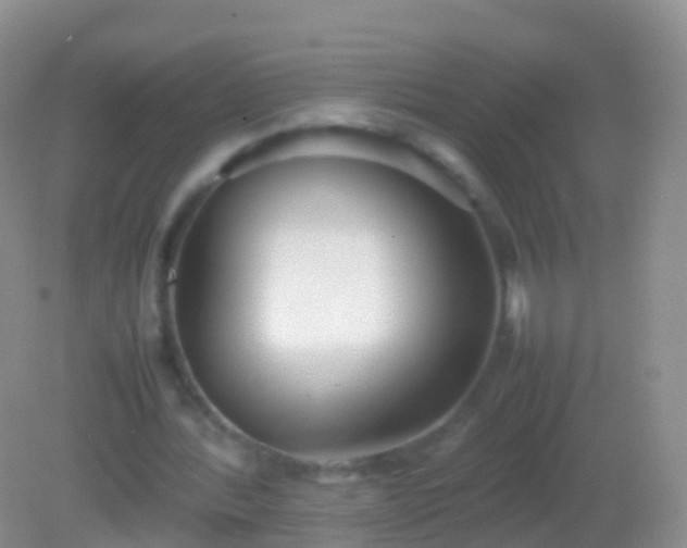X0000082140388200701262248