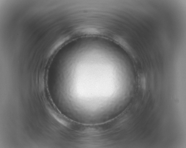 X0000082140390200701262248