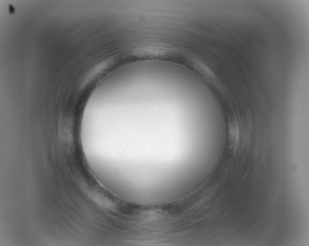 X0000082140396200701262248