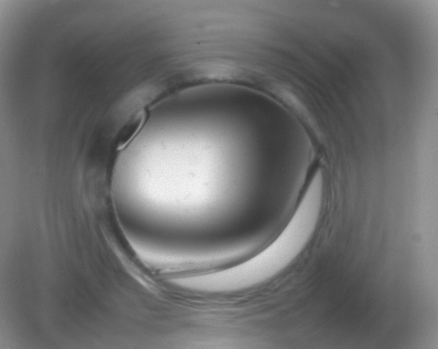 X0000082140397200701262248