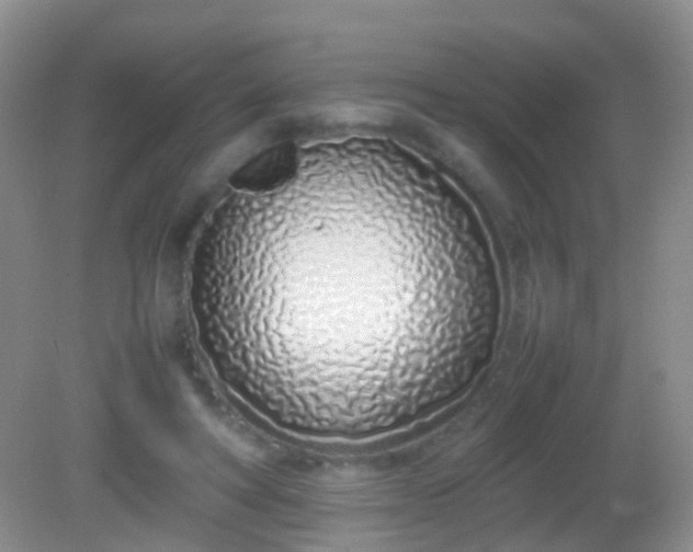 X0000082140402200701262248