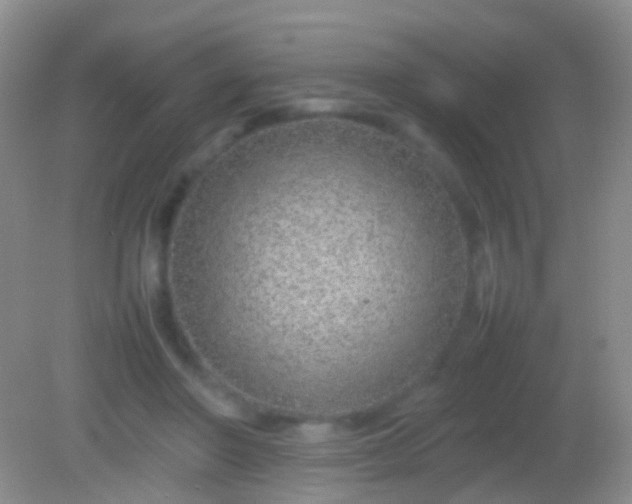 X0000082140406200701262248