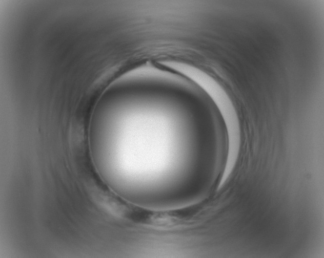 X0000082140407200701262248
