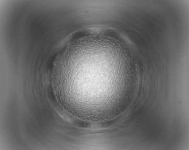 X0000082140413200701262248